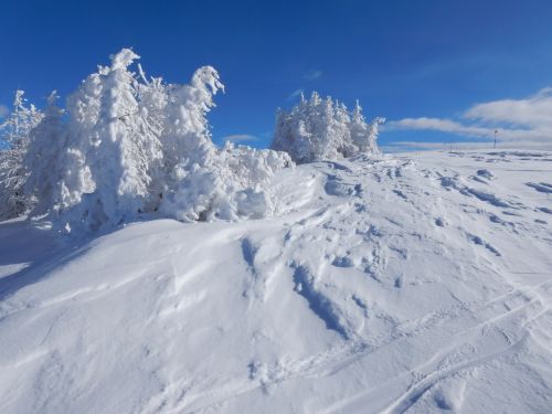 20170117-visperterminen-193.jpg