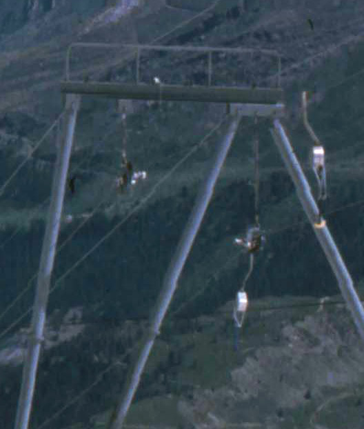 Detail aus dem vorherigen Bild: Skilift Gandegg mit Kurzbügeln von WBB (Bühler), siehe [url=http://www.skilift-nostalgie.ch/galerie/thumbnails.php?album=14]Website von Jakob Schuler[/url]
