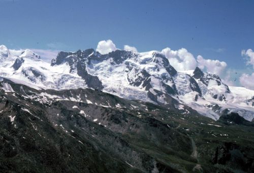 Juli 1982 (Foto: intermezzo)
