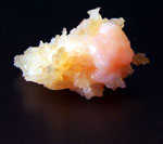 Extrahiert! - Klicken für grössere Fassung