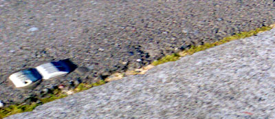 Gras auf der Autobahn und zwei 'Tips' alias Stimsonites (US 101 bei Palo Alto, 10. August 2006)