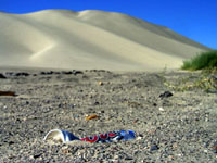 US-50, Sand Mountain, Nevada, August 2006