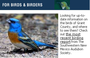 Aus einer Website eines Kaffs im Süden New Mexicos... (August 2006)