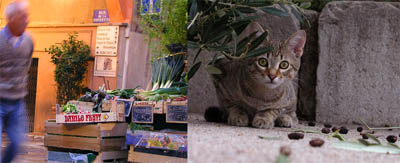 Grasse (links) / St-Cézaire sur Siagne, Ende September 2006 - Klicken für grössere Fassung