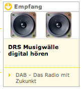 Das Radio mit Zukunkt: drs.ch - 9.11.2006 - Danke, db.