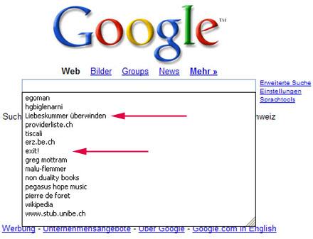 Suchmaschinenabfragen in einem Computerpool der PH Bern, Januar 2007