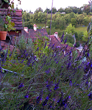 Provence in der Berner Altstadt (Juli 2007)
