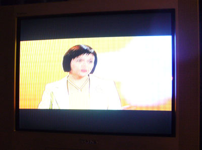 Extreeem breit: Flachgedrückte Köpfe bei "Zart oder Bart" (SF1, 28. August 2007, 01:20 Uhr)