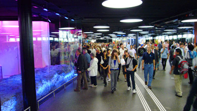 Der Stein: Dessen Einglasung mag für all jene, die sich an der Alkiszene nicht störten, ein Affront sein (31. Mai 2008)