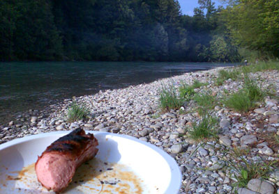 In der Felsenau, Juni 2008