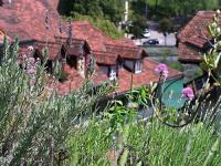 Smaragdgrün die Aare - leider erst 16 Grad "warm"