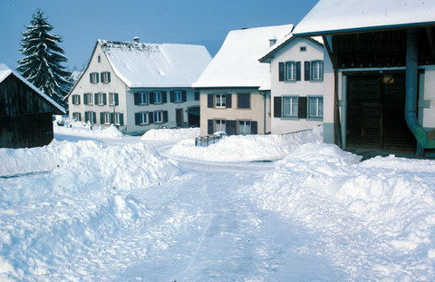 Schneerekord in Itingen BL, Februar 1986 (Klick)