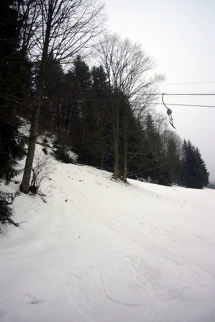 29. Januar 2009
