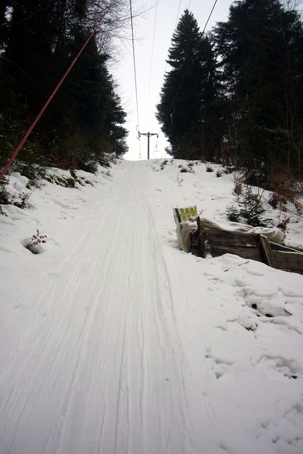 29. Januar 2009
