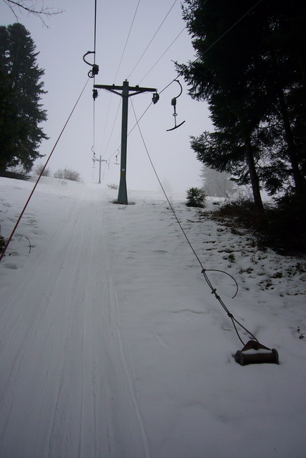 29. Januar 2009
