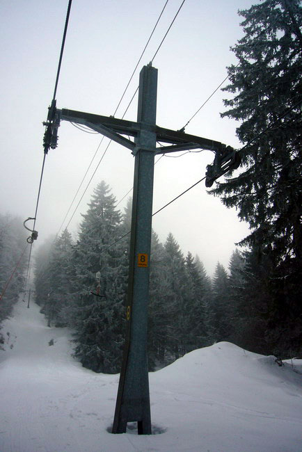 29. Januar 2009
