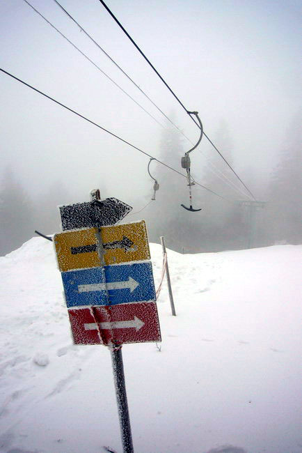 29. Januar 2009
