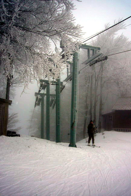 29. Januar 2009
