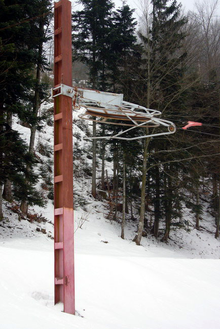 29. Januar 2009
