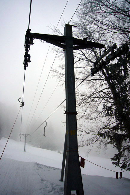 29. Januar 2009
