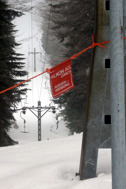 29. Januar 2009
