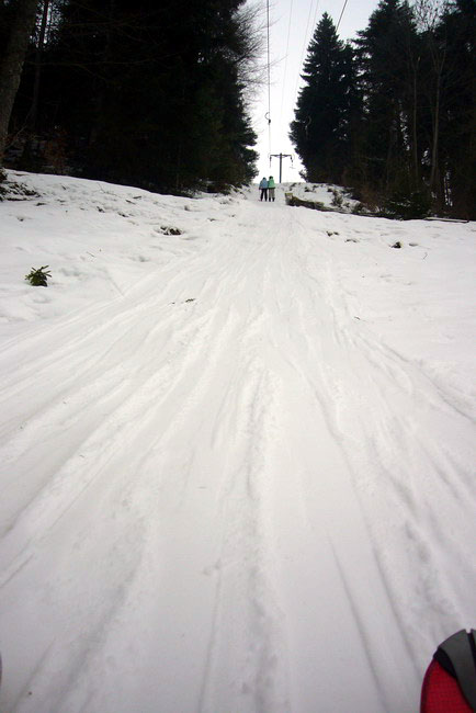 29. Januar 2009
