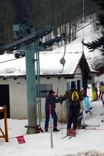 29. Januar 2009
