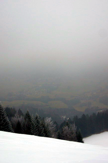 29. Januar 2009
