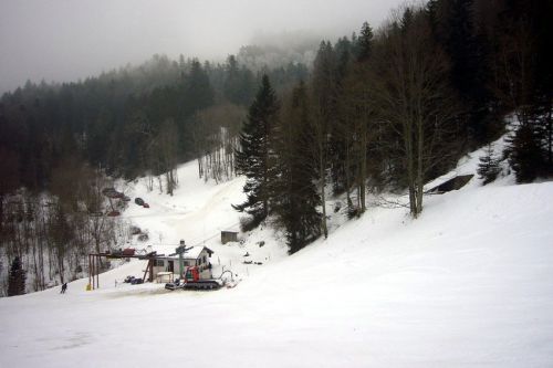 29. Januar 2009
