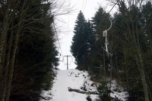 29. Januar 2009
