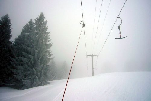 29. Januar 2009
