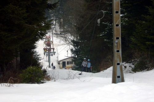 29. Januar 2009

