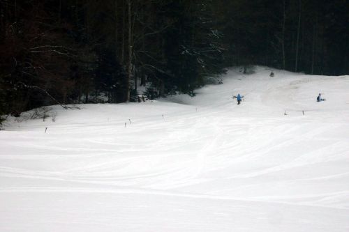 29. Januar 2009
