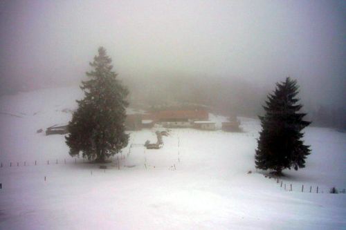 29. Januar 2009
