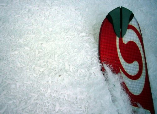 29. Januar 2009
