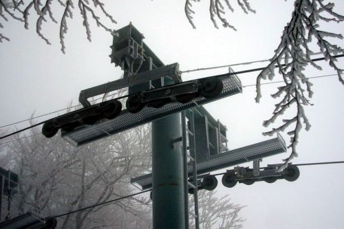 29. Januar 2009
