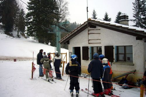 29. Januar 2009
