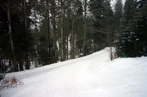 29. Januar 2009
