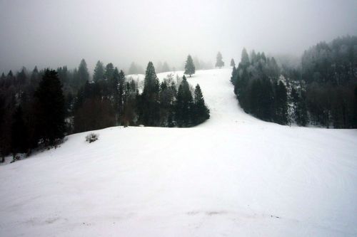 29. Januar 2009
