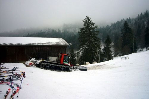 29. Januar 2009
