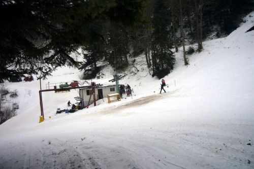 29. Januar 2009
