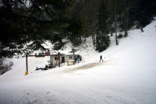 29. Januar 2009
