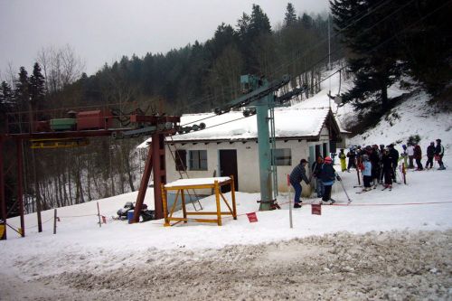 29. Januar 2009

