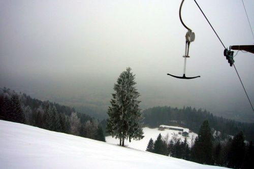 29. Januar 2009
