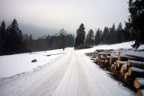 29. Januar 2009
