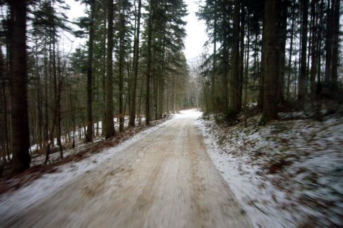 29. Januar 2009
